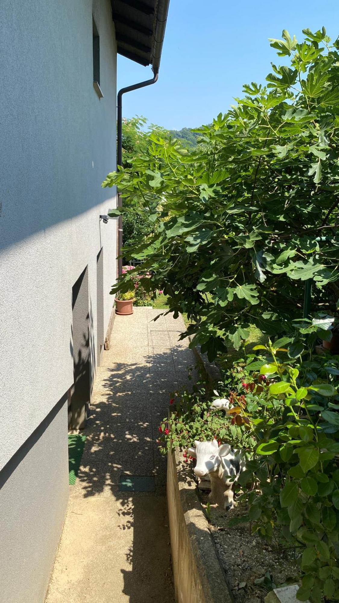 Semper Liberi Apartman Maribor Kültér fotó